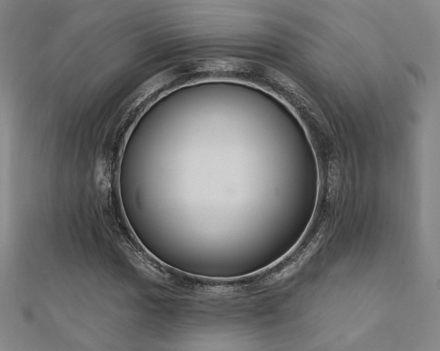 X0000110701017200906121329
