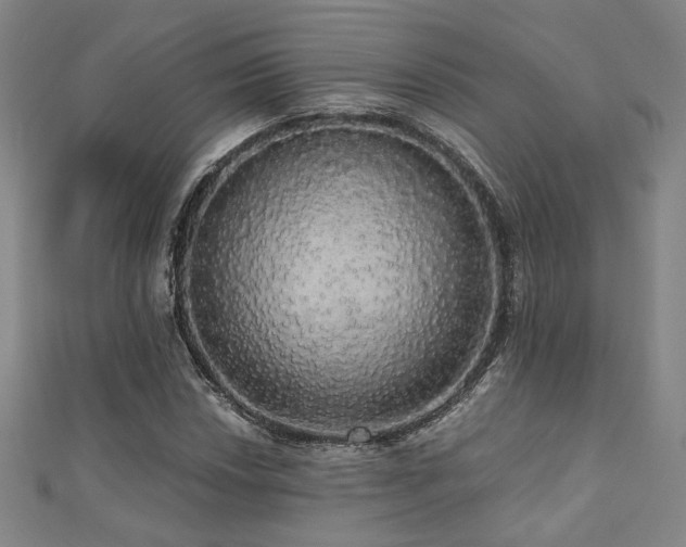 X0000110701018200906121329