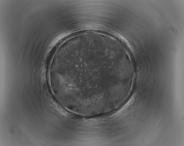 X0000110701019200906121329