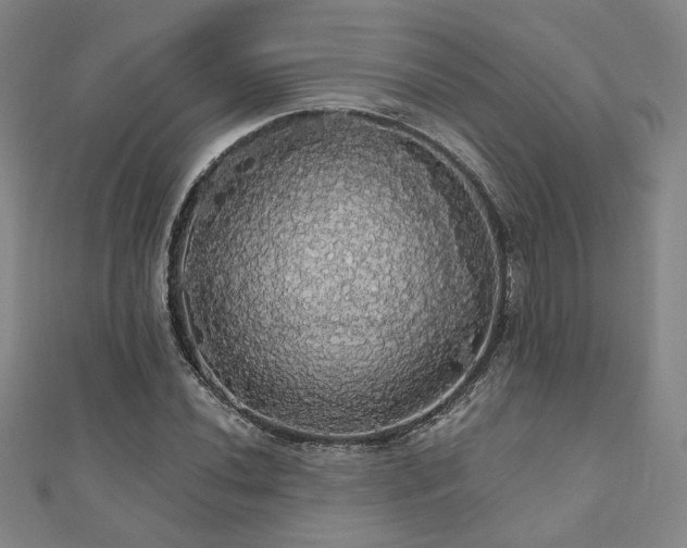 X0000110701020200906121329