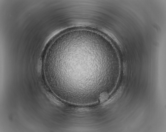 X0000110701021200906121329