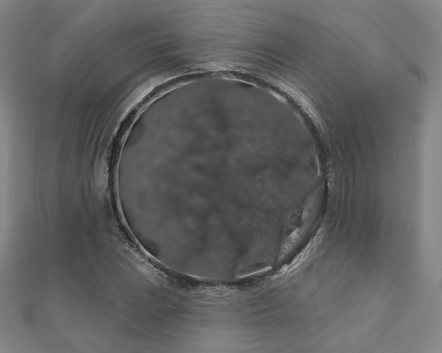 X0000110701023200906121329