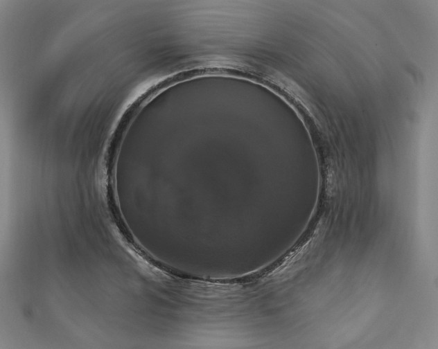 X0000110701024200906121329