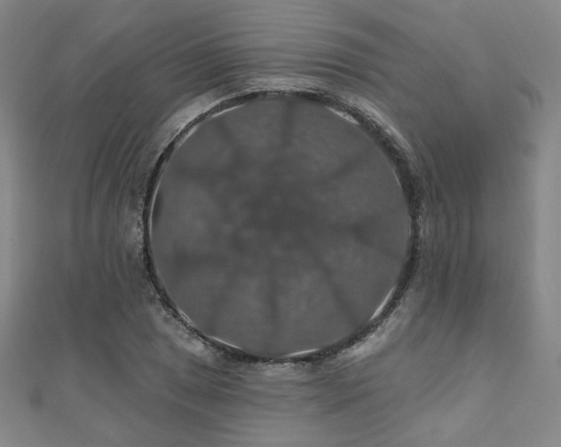 X0000110701025200906121329