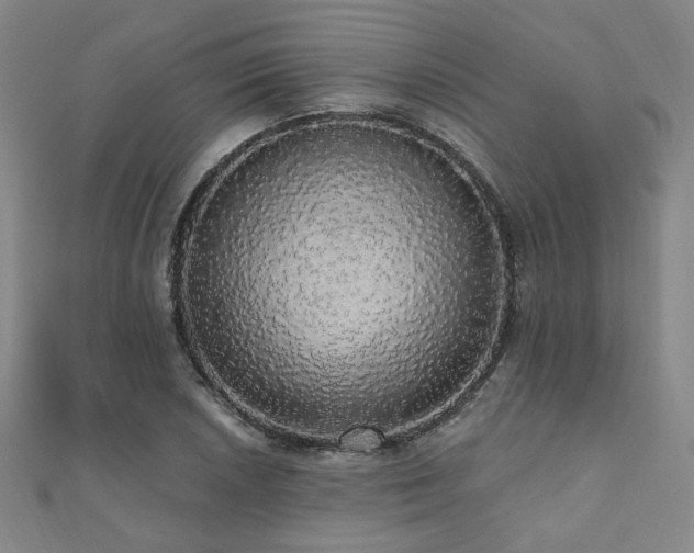 X0000110701026200906121329