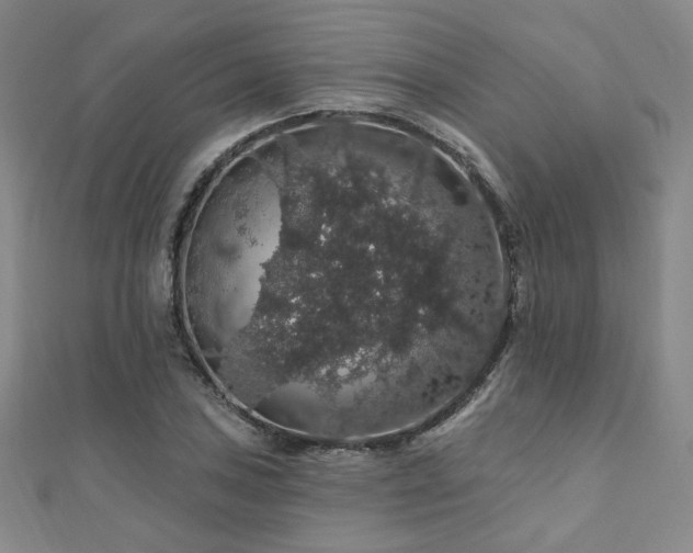 X0000110701027200906121329