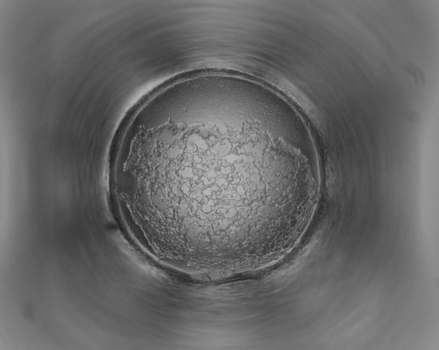 X0000110701028200906121329