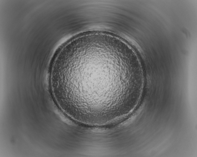 X0000110701029200906121329