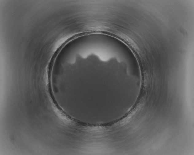 X0000110701031200906121329