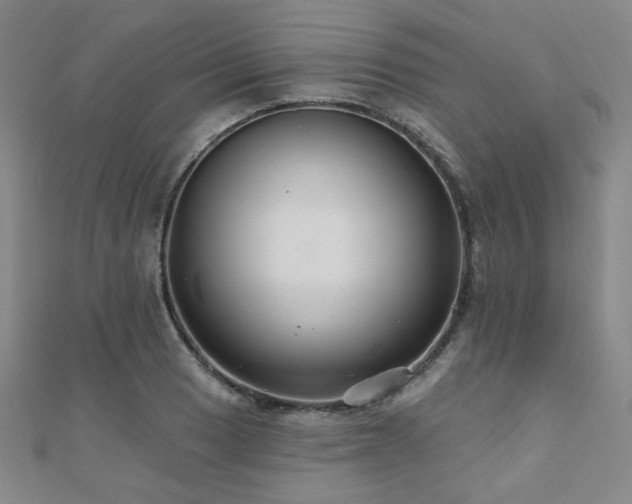 X0000110701033200906121329