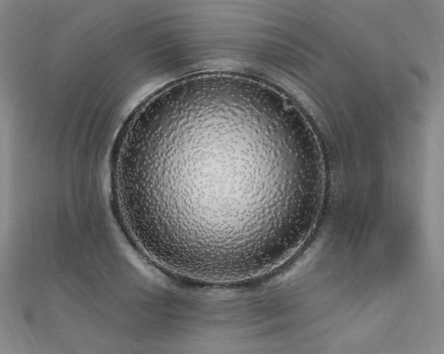 X0000110701034200906121329