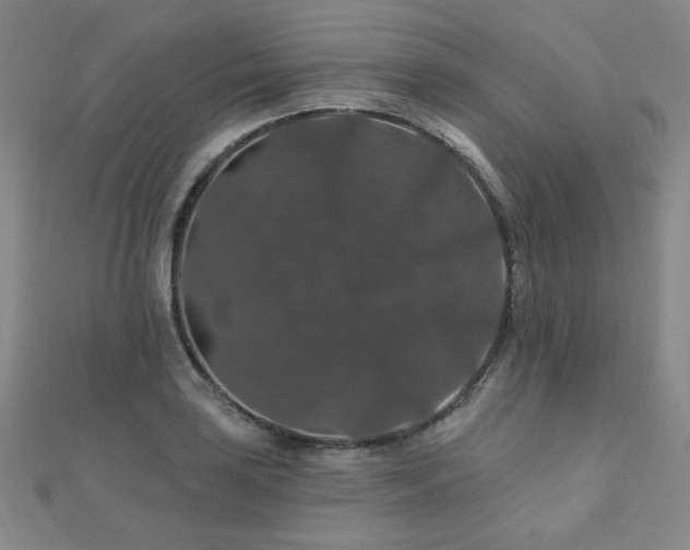 X0000110701035200906121329