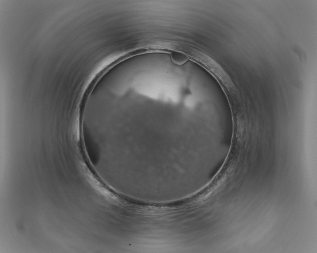 X0000110701036200906121329