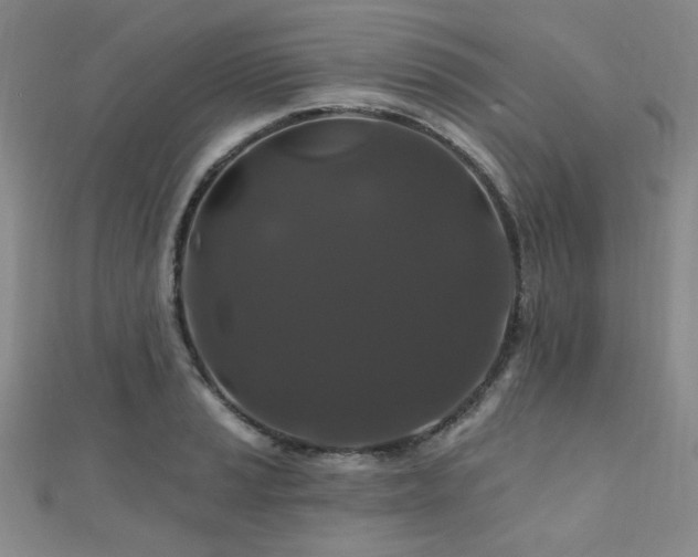 X0000110701037200906121329
