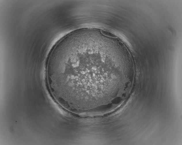 X0000110701040200906121329