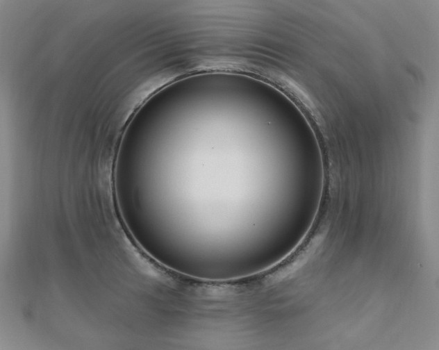 X0000110701041200906121329