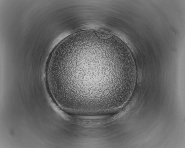 X0000110701042200906121329