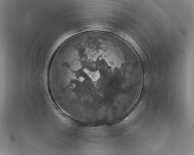 X0000110701043200906121329