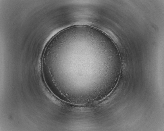 X0000110701044200906121329
