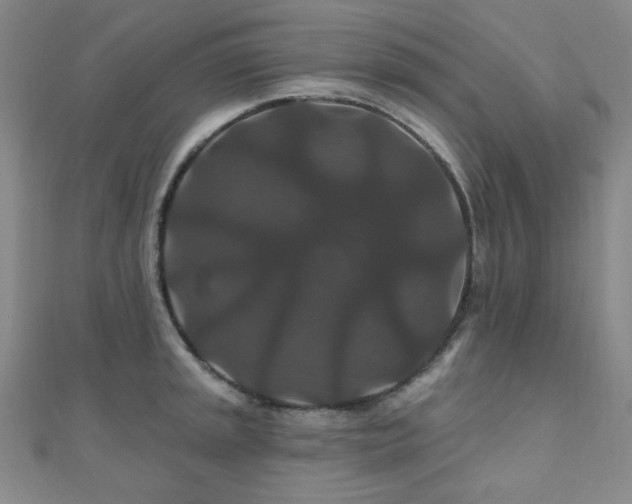 X0000110701045200906121329