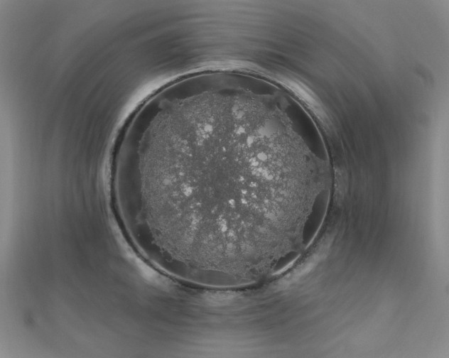 X0000110701046200906121329