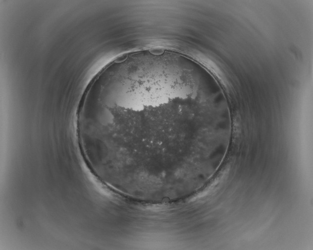 X0000110701047200906121329