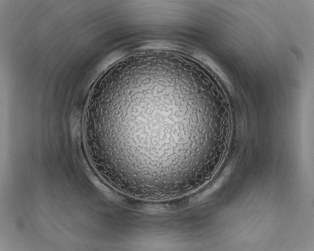 X0000110701049200906121329
