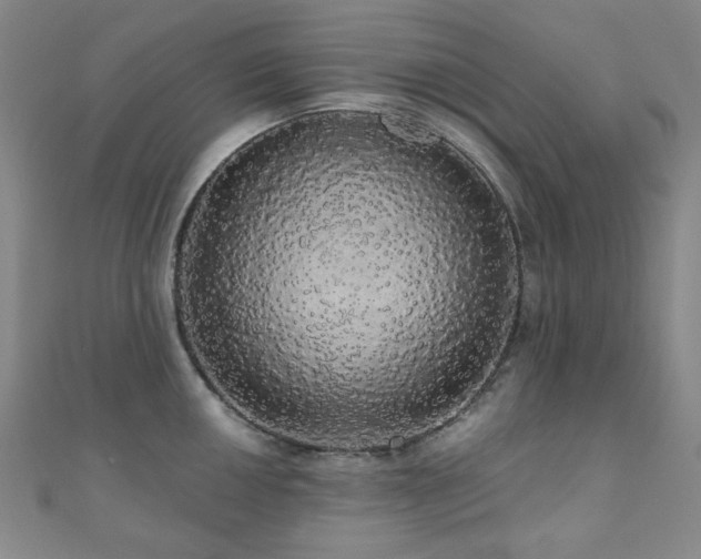 X0000110701050200906121329