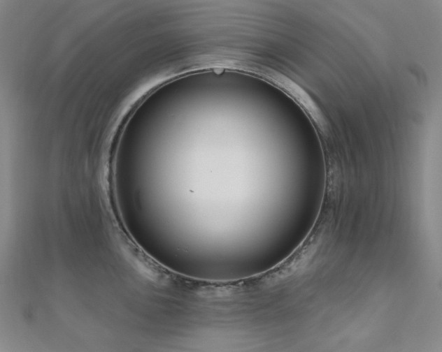 X0000110701051200906121329