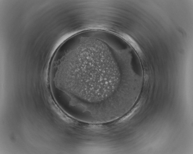 X0000110701052200906121329