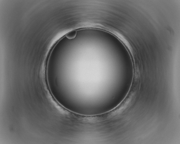 X0000110701053200906121329