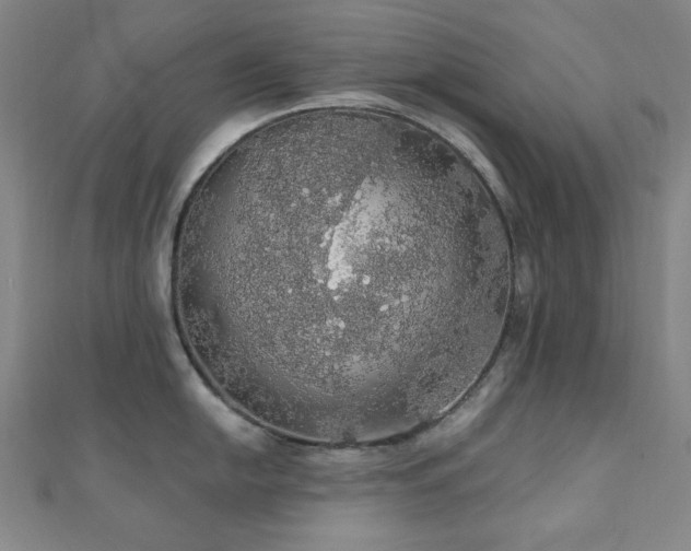 X0000110701054200906121329