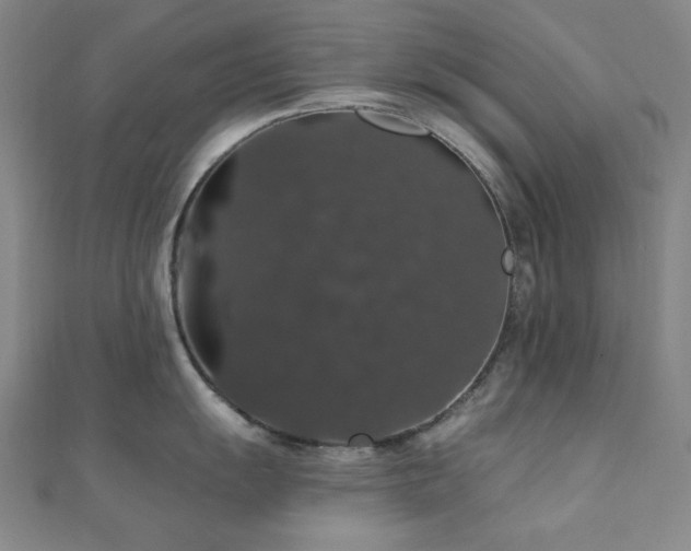 X0000110701055200906121329