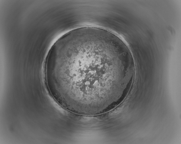 X0000110701056200906121329