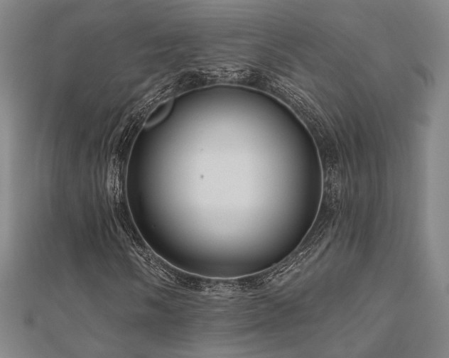X0000110701058200906121329