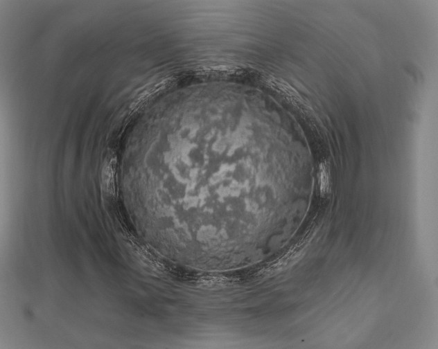 X0000110701059200906121329