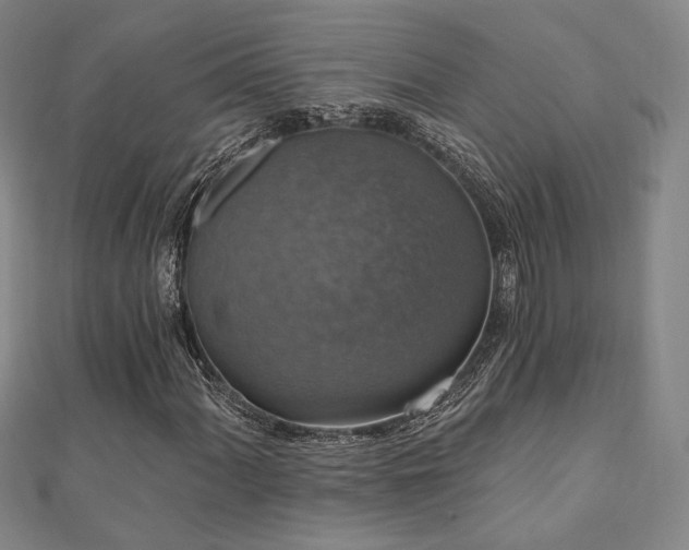 X0000110701060200906121329