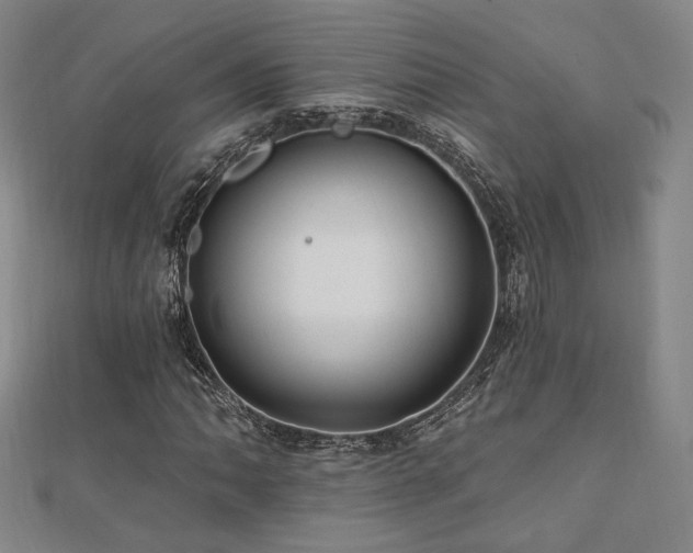 X0000110701062200906121329