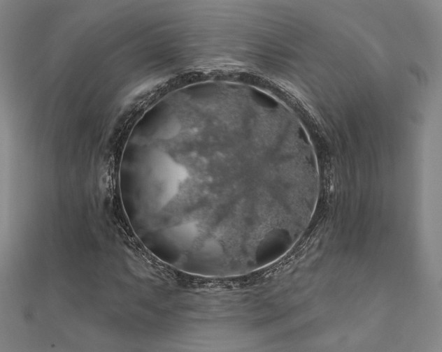 X0000110701063200906121329