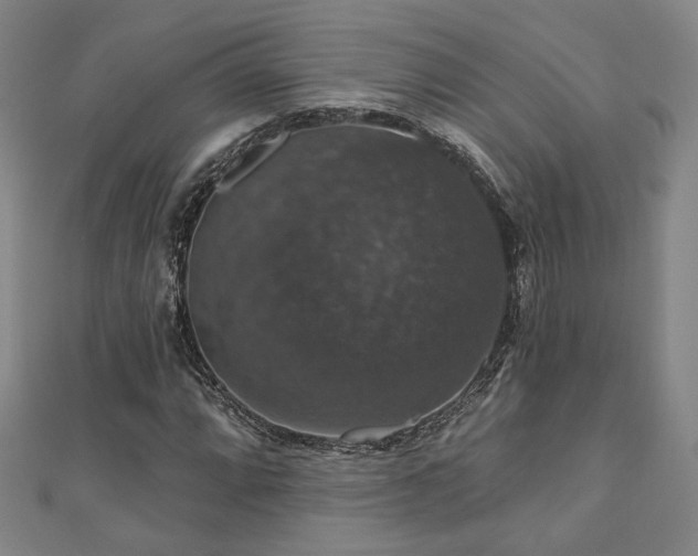 X0000110701064200906121329