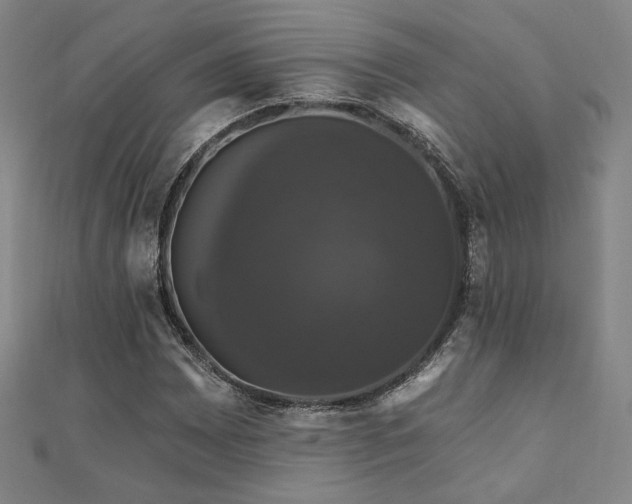 X0000110701065200906121329