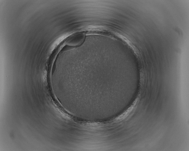 X0000110701066200906121329