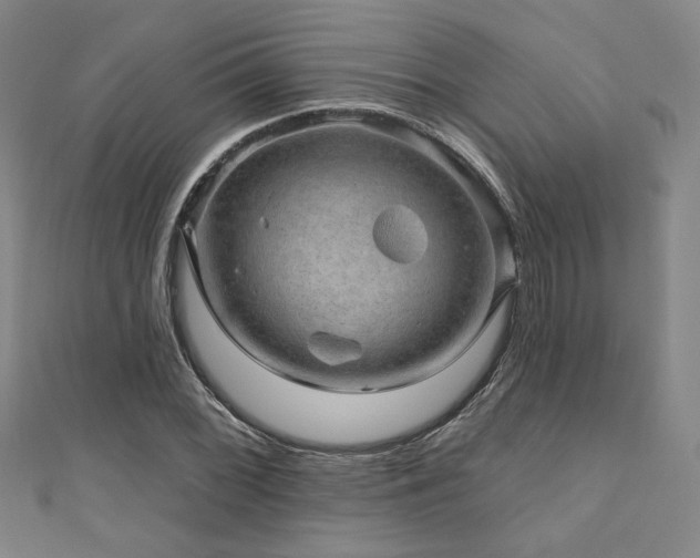 X0000110701068200906121329