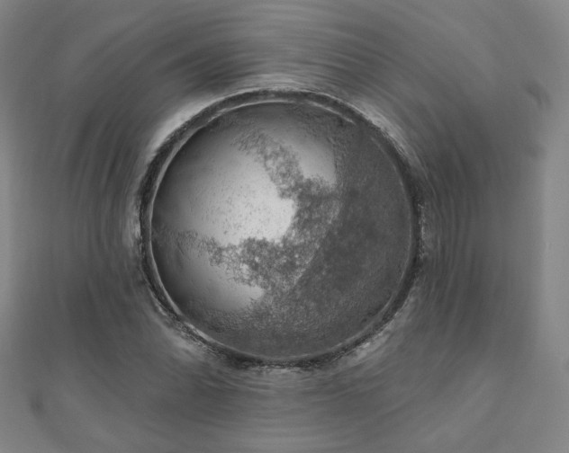 X0000110701070200906121329