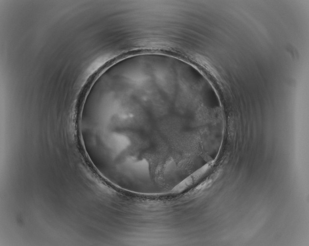 X0000110701071200906121329