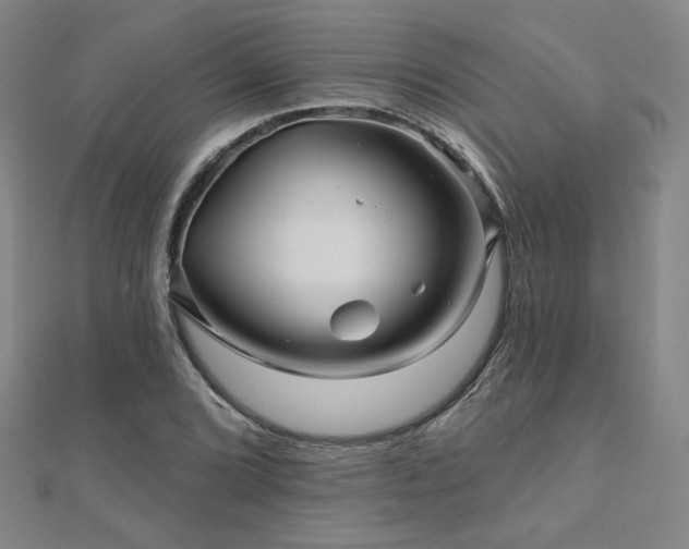 X0000110701072200906121329