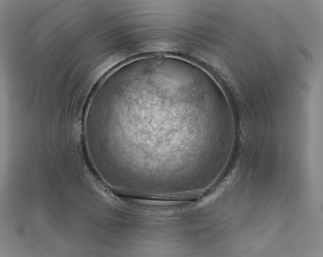 X0000110701073200906121329