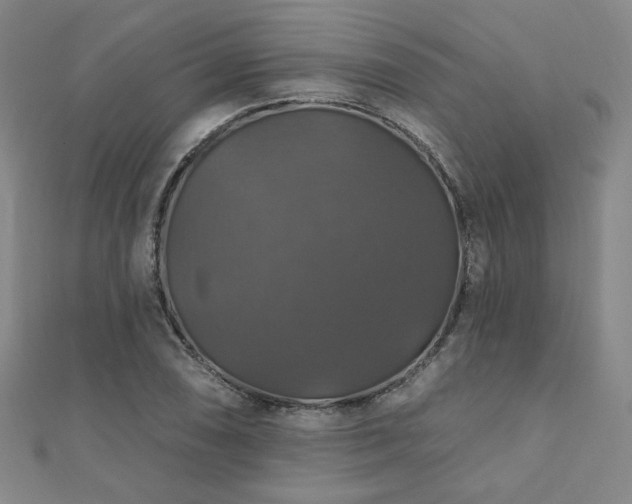 X0000110701074200906121329