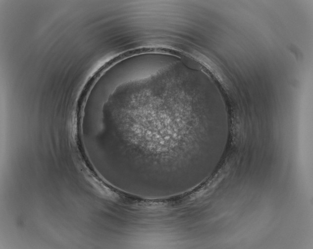 X0000110701076200906121329
