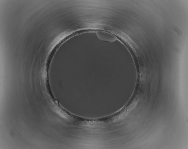 X0000110701077200906121329